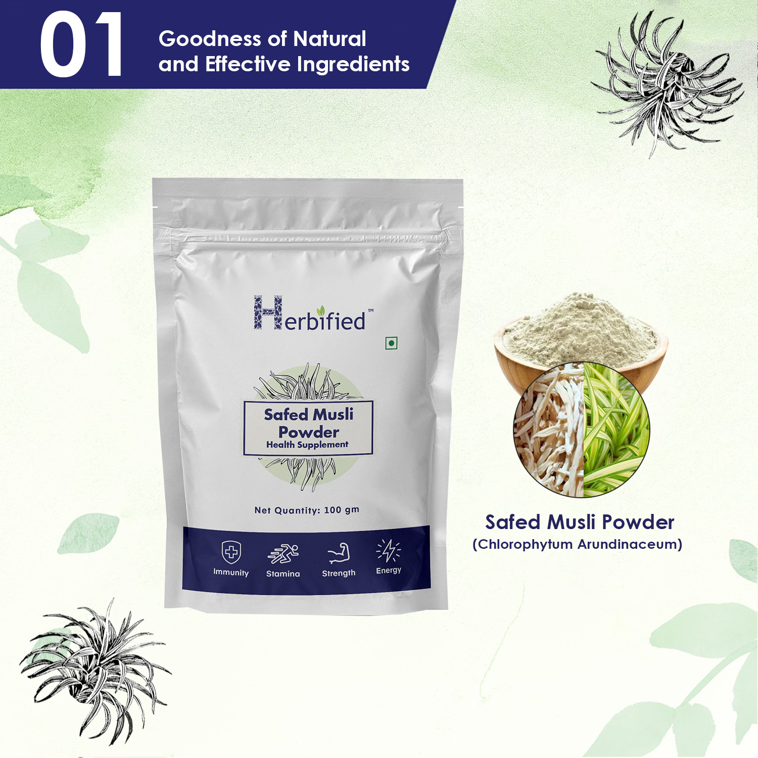 Herbified Safed Musli Powder Pure and Superfood Supplement for Vitality and Wellness-100gm (Pack of 1)
