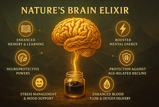 Nature’s Brain Elixir: Why Shilajit is the Cognitive Edge You’ve Been Missing