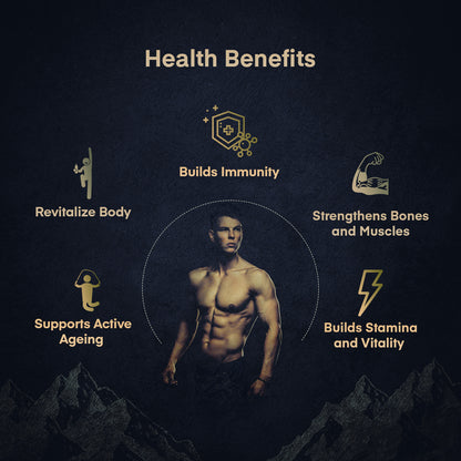 Herbified Premium Shilajit Resin 15gm - Performance Booster For Endurance and Stamina (Pack of 1)
