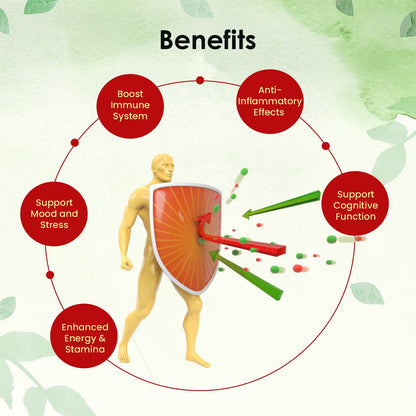 Shilajit Resin With Kesar