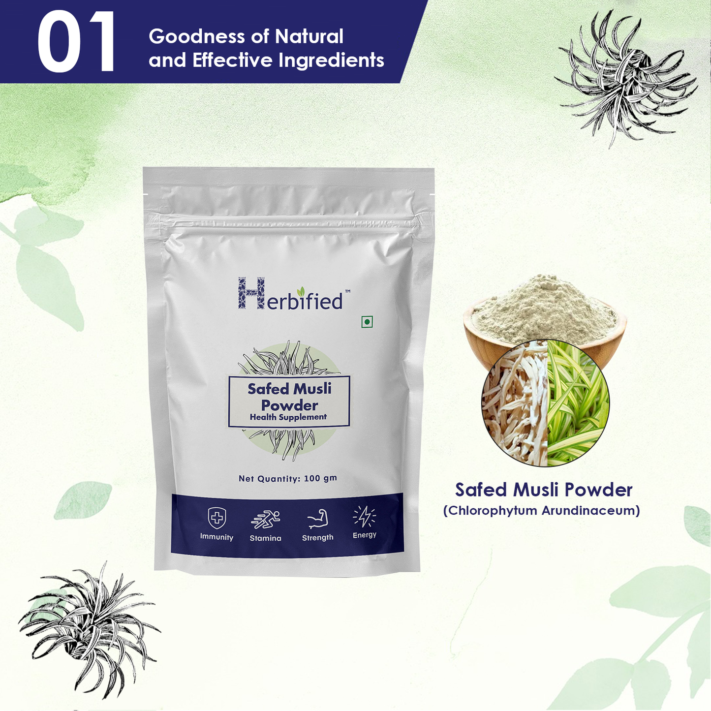 Herbified Safed Musli Powder Pure and Superfood Supplement for Vitality and Wellness-100gm (Pack of 1)