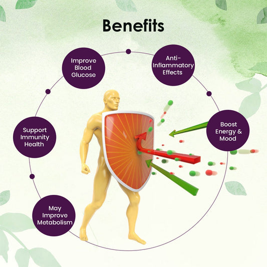 Herbified Shilajit Resin (Preclinically tested) Glucolevel 20gm