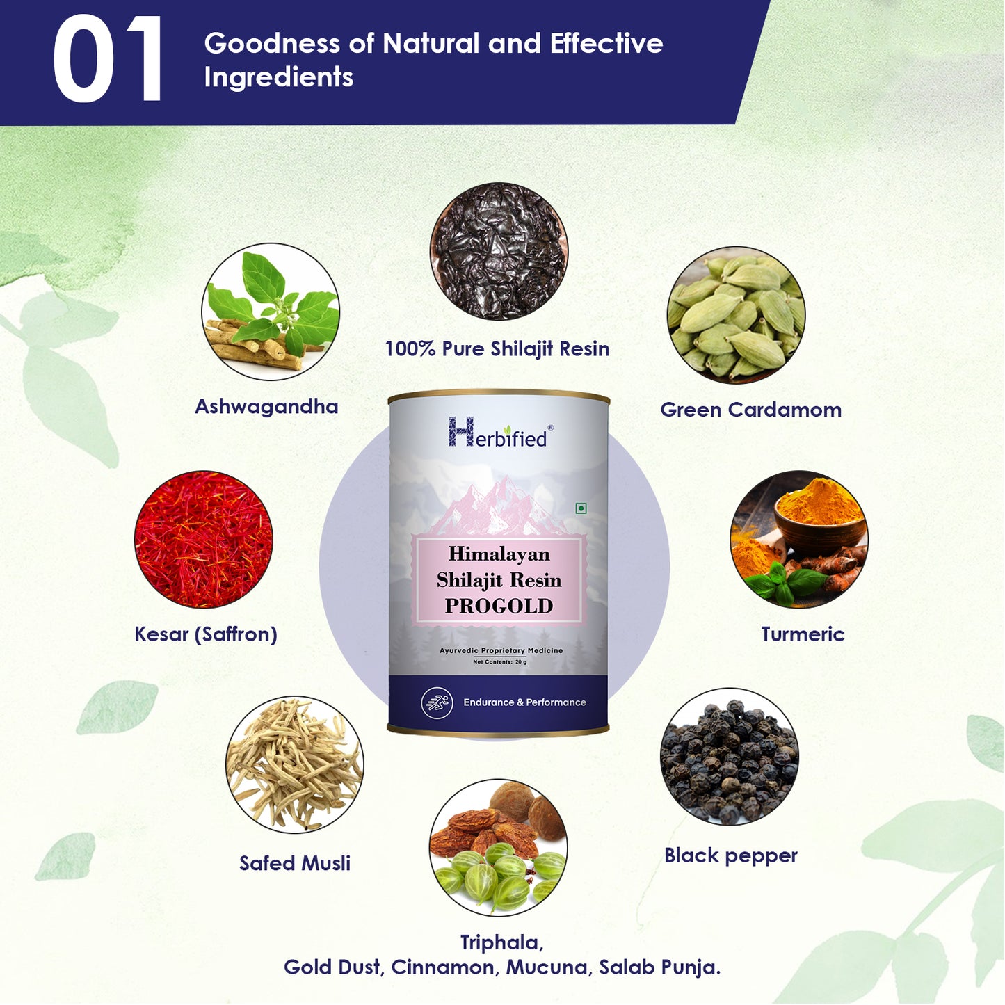 Shilajit (Preclinically tested) ProGold