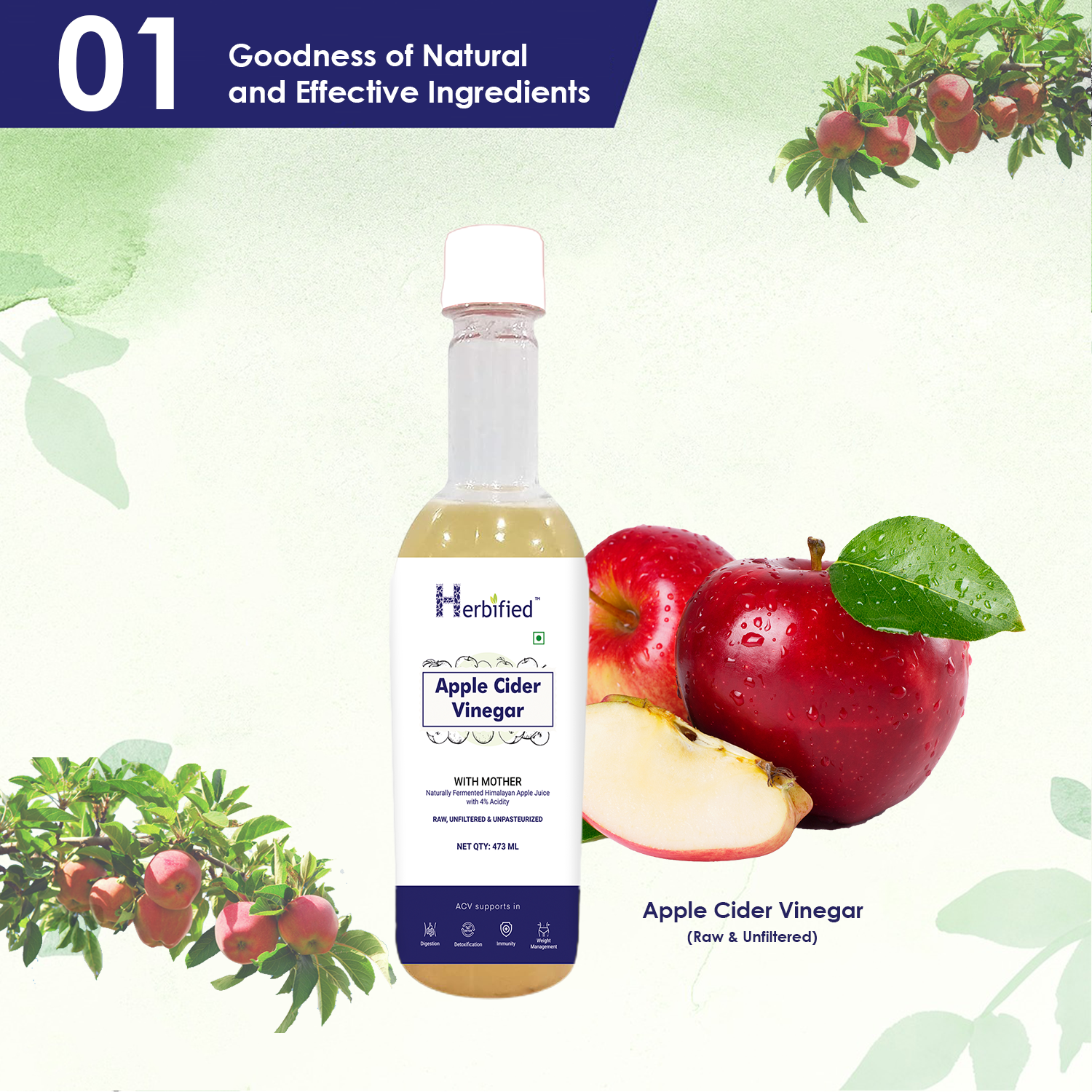 Herbified Apple Cider Vinegar with Mother For Better Skin, Digestive Enzymes, Energy & Immunity Booster- 473 ml (Pack of 1)